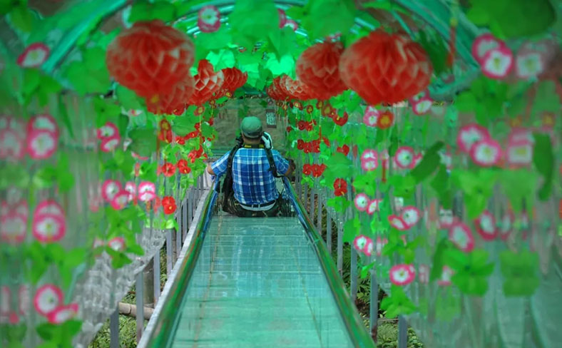 西溪娱乐—玻璃滑道