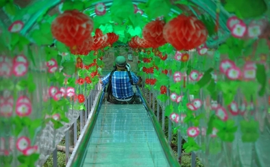 西溪娱乐—玻璃滑道