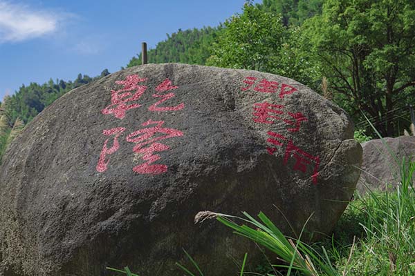 张家界网红漂流推荐