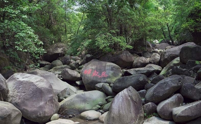 鲤鱼岛
