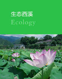 浏阳旅游