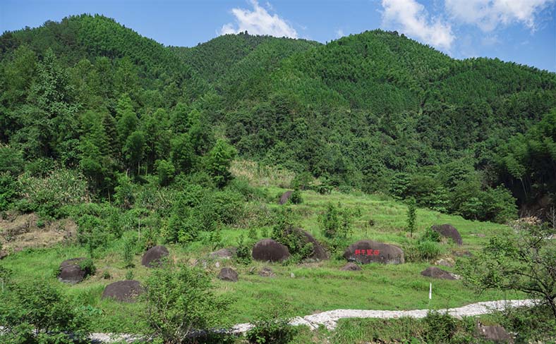 大围山旅游