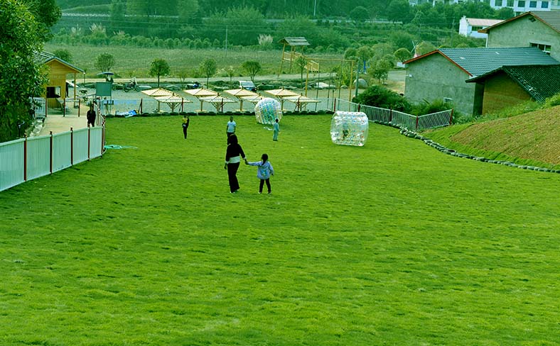 微信图片_20190617164606 副本.JPG