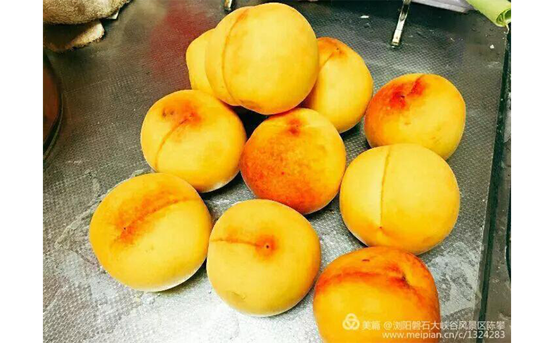 微信图片_20190805102506.png