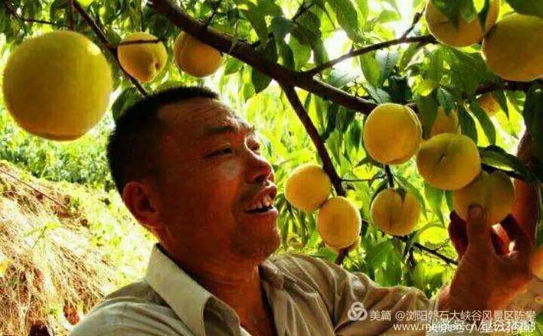 微信图片_20190805102512.jpg