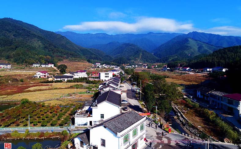 航拍西溪1 副本.JPG