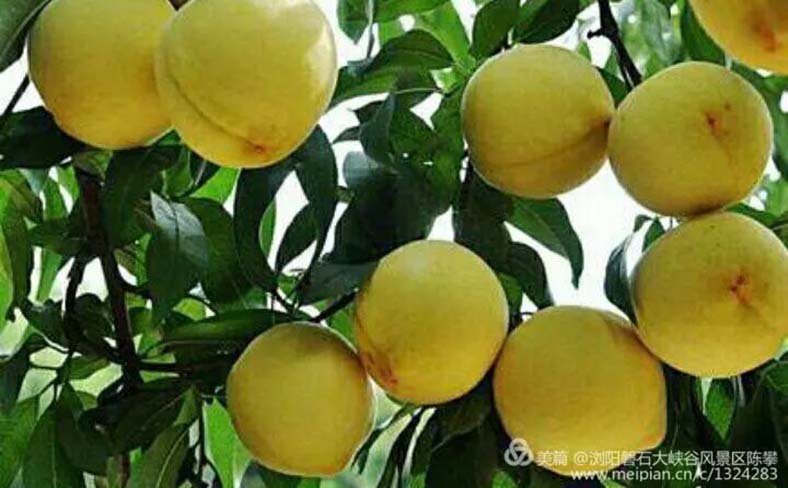 西溪磐石大峡谷
