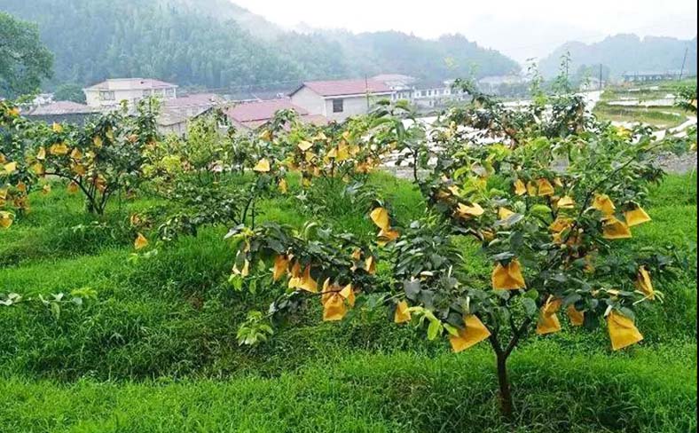 大围山旅游