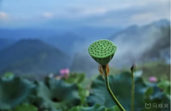 西溪磐石大峡谷