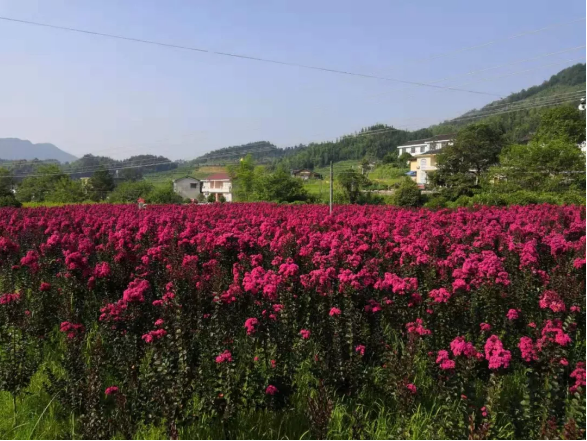 西溪磐石大峡谷