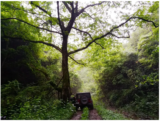 西溪磐石大峡谷