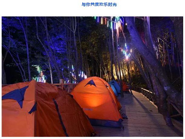 西溪星空露营