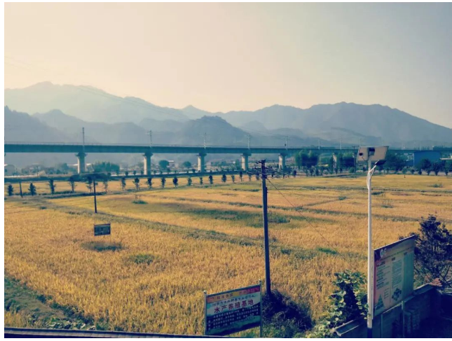 大围山旅游