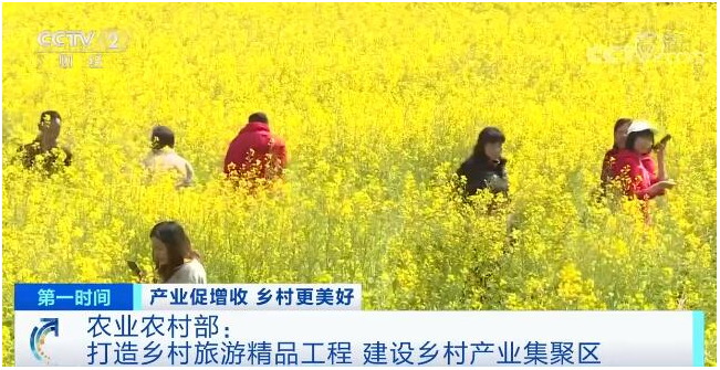 打造乡村旅游精品工程 建设乡村产业集聚区