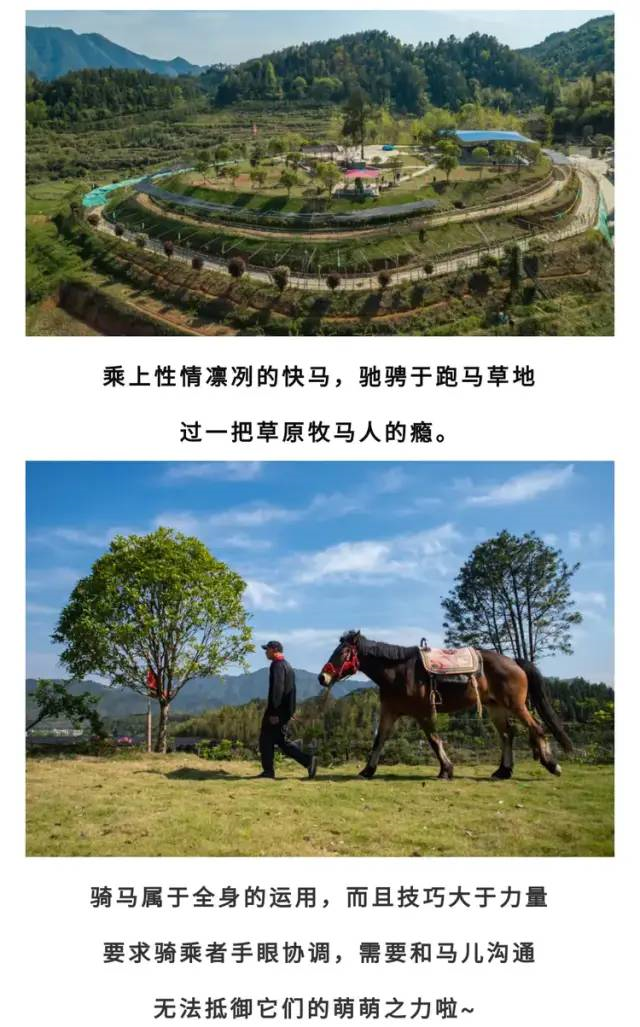 浏阳西溪磐石大峡谷2021年全新升级营业！3月27日起不限量门票全天免费送