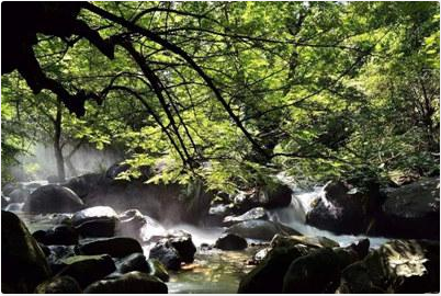 浏阳西溪磐石大峡谷游览指南