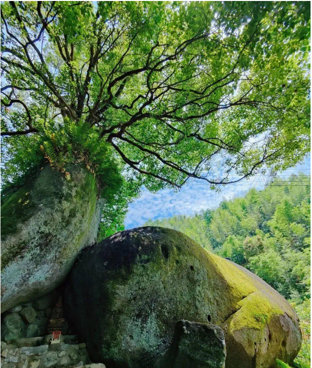 西溪磐石大峡谷+黄金玻璃桥+王首道陈列馆 | 一日往返 